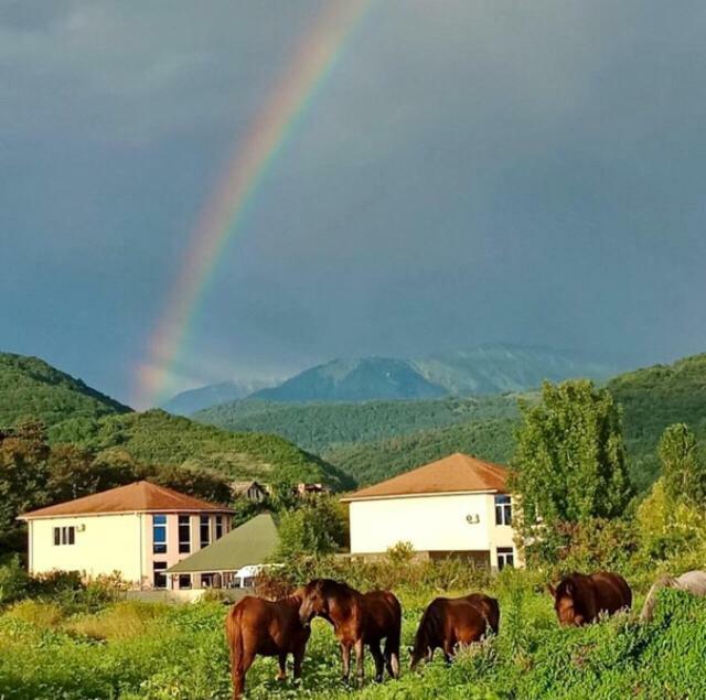 Comfort Gantiadi Zewnętrze zdjęcie